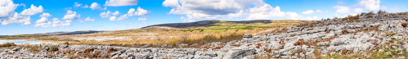 Ireland-1686_Pan-Desolate rock with farms in the distance..jpg