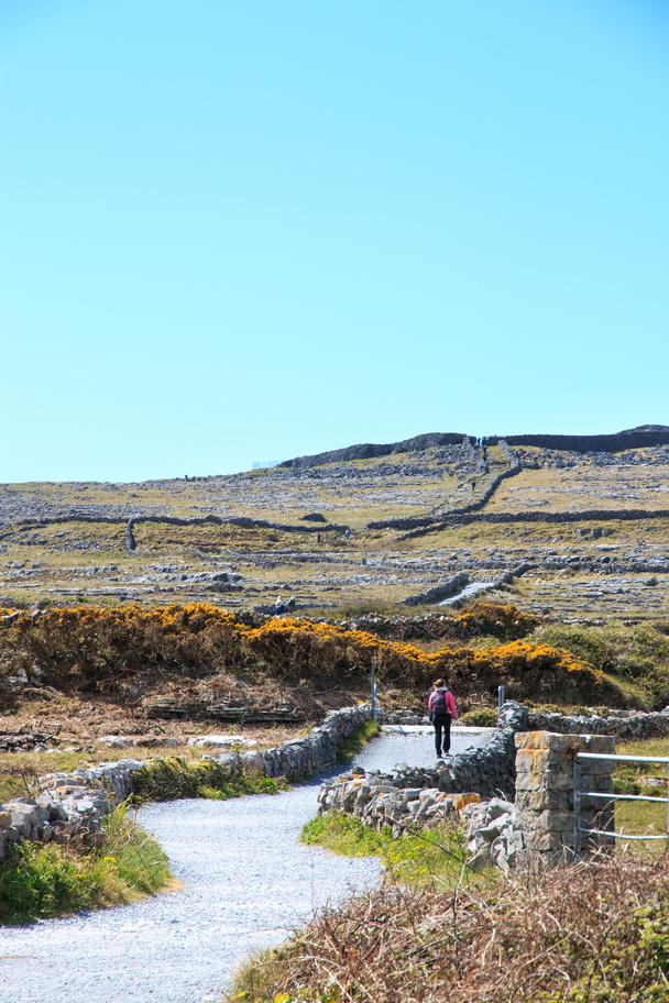 Ireland-0891-The outer wall of Dun Aonghasa is in the distance..jpg
