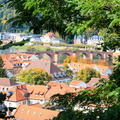HeidelbergGermany-6242
