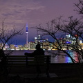 Toronto-0830.jpg