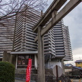 Kyoto-3611