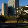 Osaka-2346