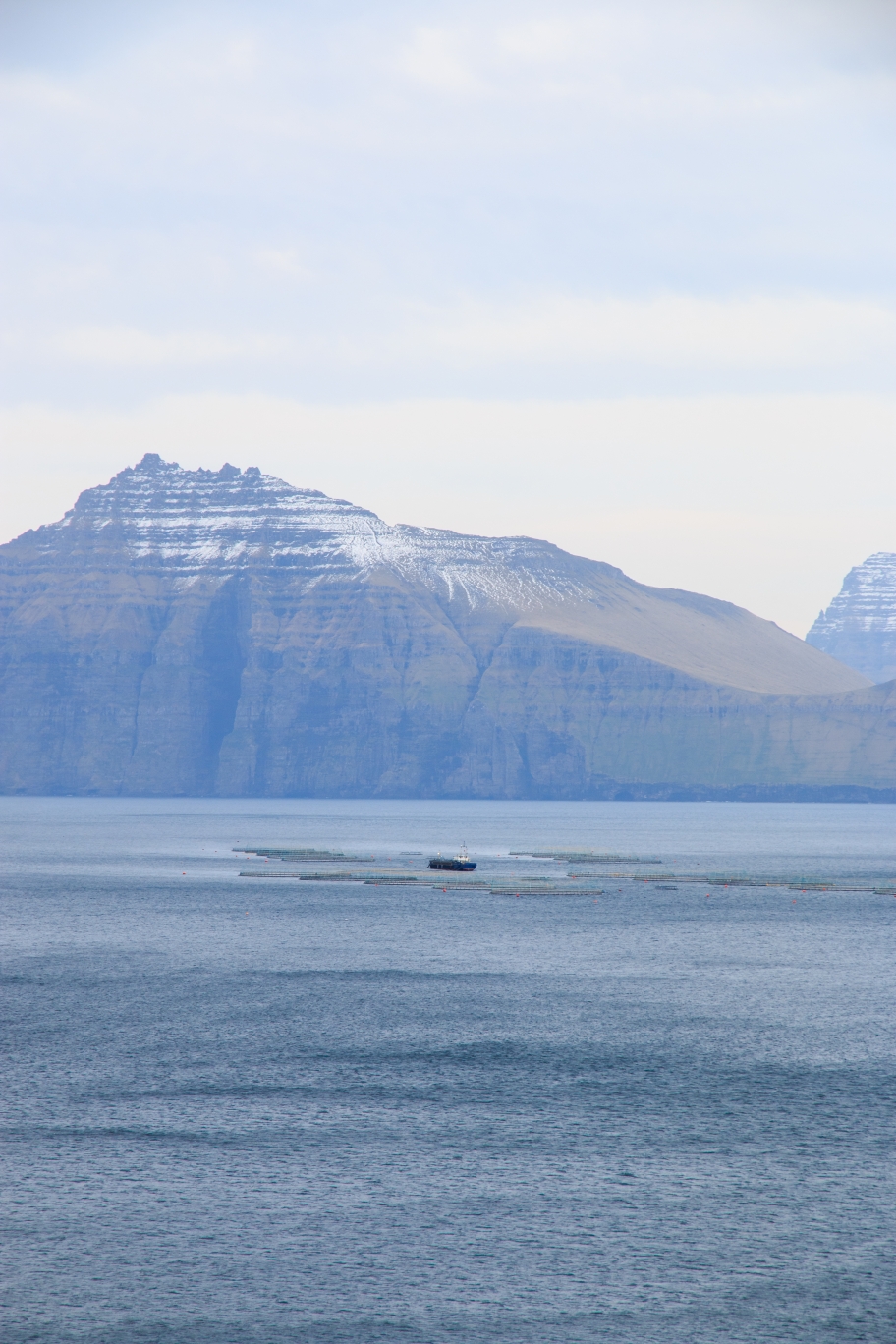 FaroeIslands-2902