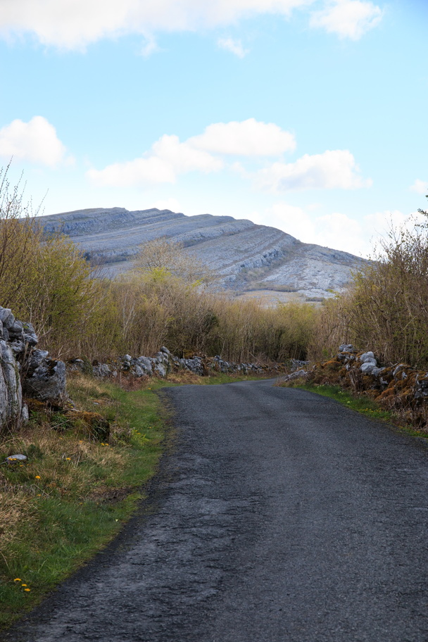 Ireland-1537-Heading into The Burren National Park..jpg
