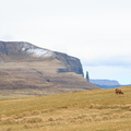 FaroeIslands-1442