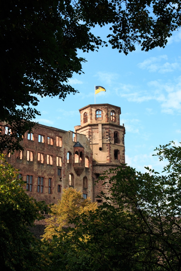 HeidelbergGermany-6239
