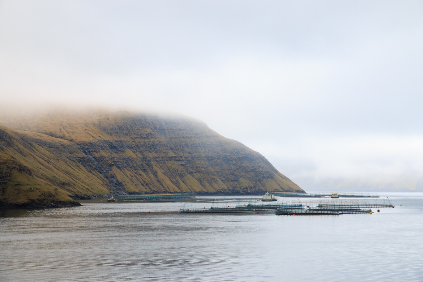 FaroeIslands-3433.jpg