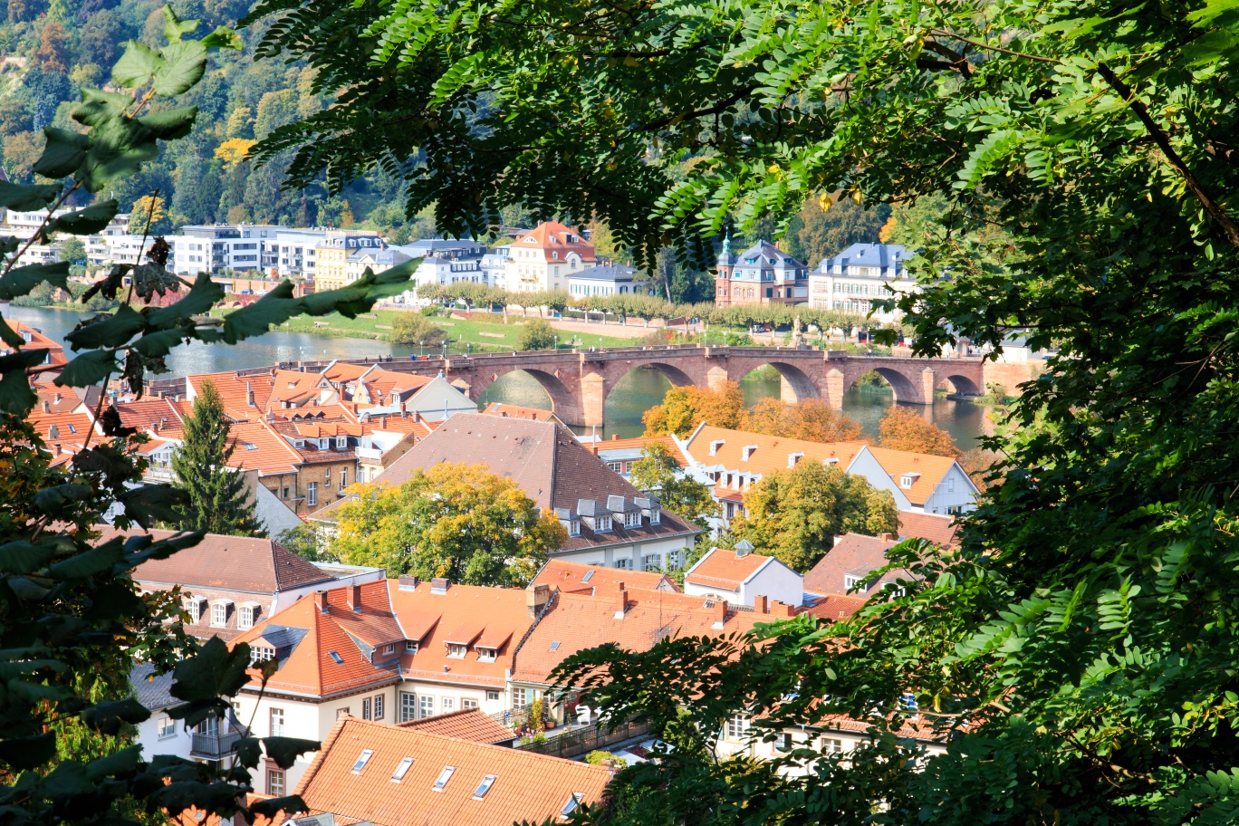 HeidelbergGermany-6242.jpg